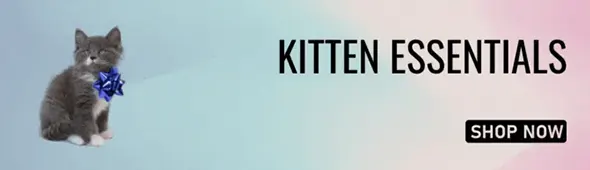 Kitten Essentials
