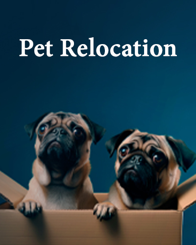 Pet Relocation Service