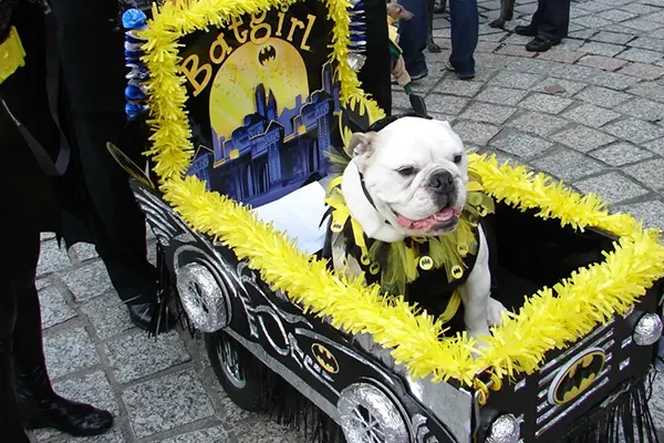 Barkus Parade, New Orleans