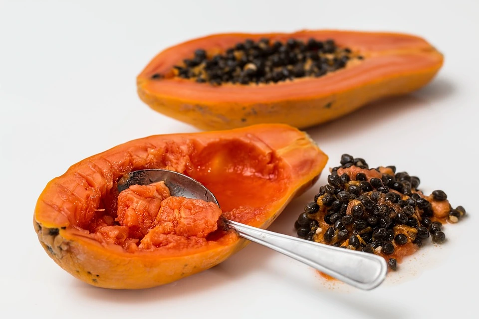 Benefits of Papaya for Dogs