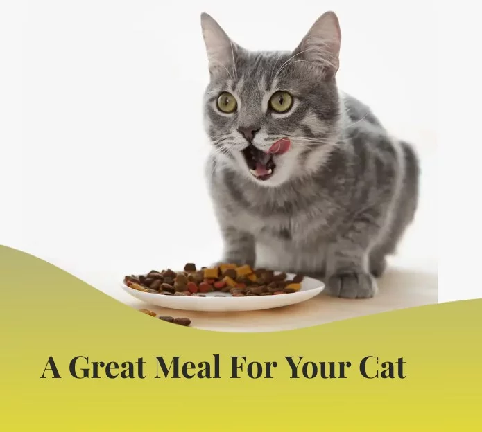 cat food - Pawrulz