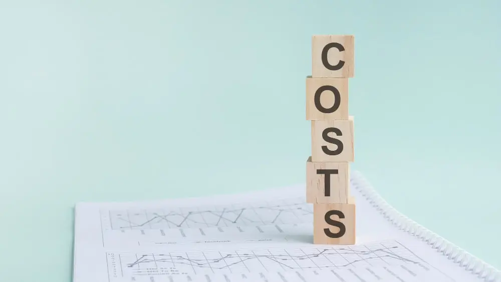 Cost Factors to Consider