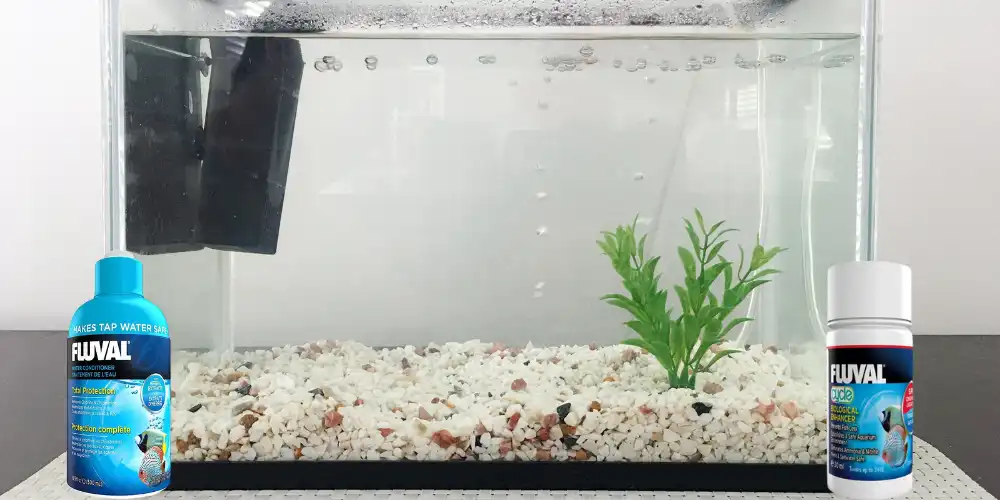 Cycling your tank