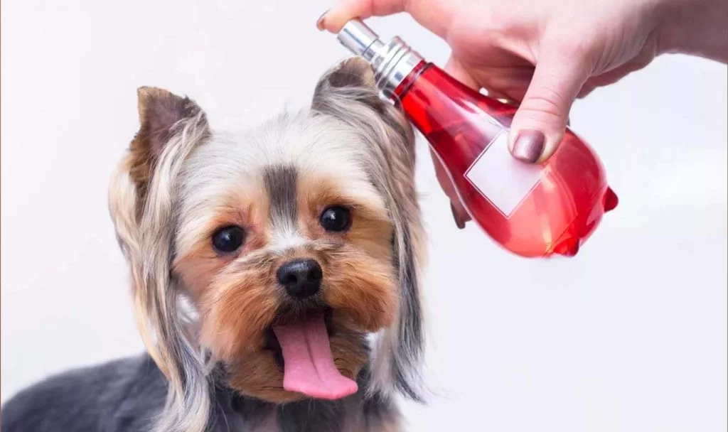 Dog perfume
