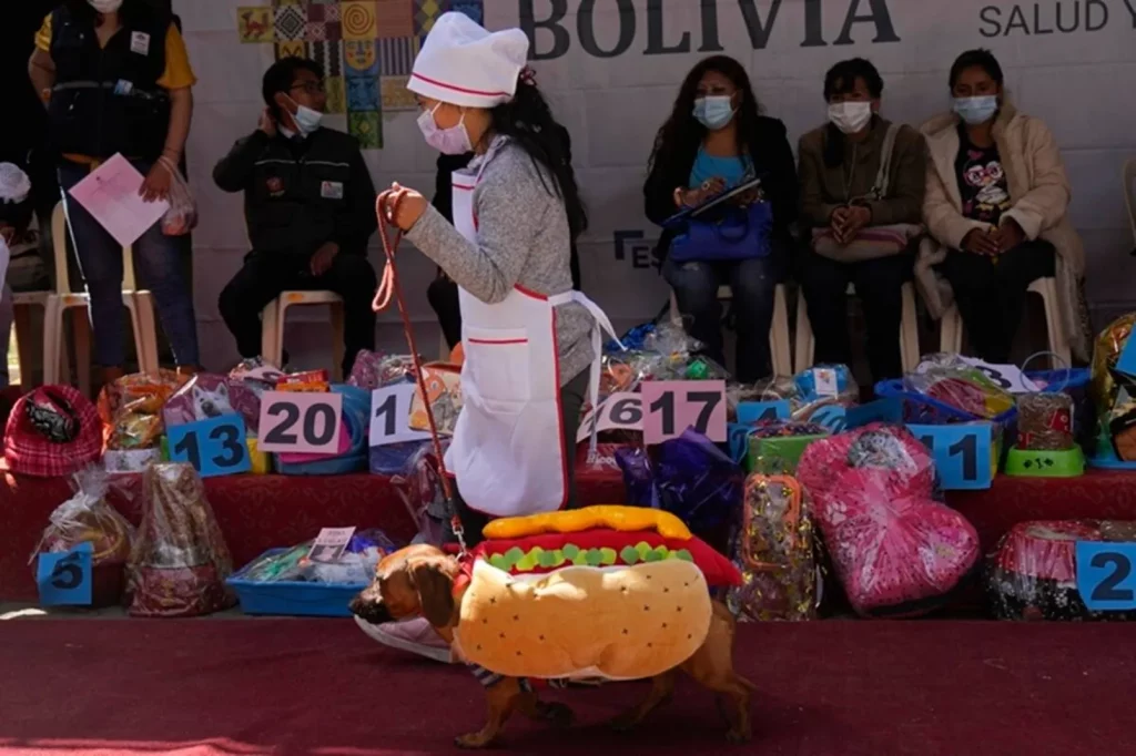 St. Roch's Day, Bolivia