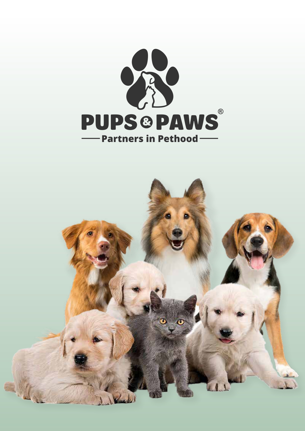 Pups & Paws