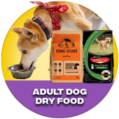 Adult Dog Dry Food