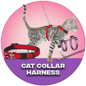 Cat Collar Harness