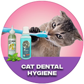 Cat Dental Hygiene