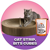 Cat Strip, Bits Cubes