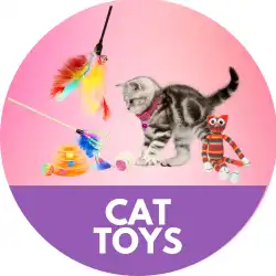 /storage/product-meta/cat-toys.webp