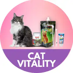 Cat Vitality