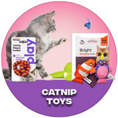 CatNip Toys