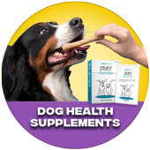 Dog Health Supplements
