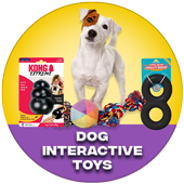 Dog Interactive Toys
