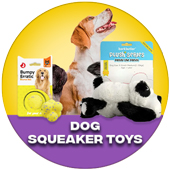 Dog Squeaker Toys