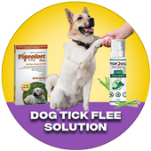 Dog Tick Flee Solution
