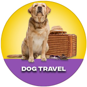 Dog Travel