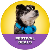 Festival Deals