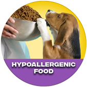 Hypoallergenic Food