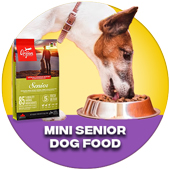 Mini Senior Dog food