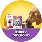 Puppy Dry Food