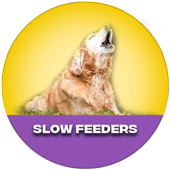 Slow feeders