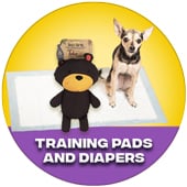 Training Pads and Diapers