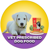 Vet Prescribed Dog Food