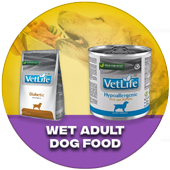 Wet Adult Dog Food