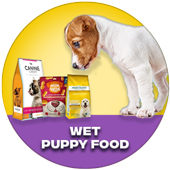 Wet Puppy Food