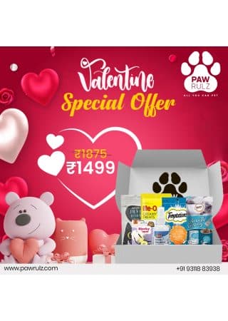 Pawrulz All Year Round Valentine's Gift Box - All in One - Treats, Toys and Grooming - Kittens and Adult Cat