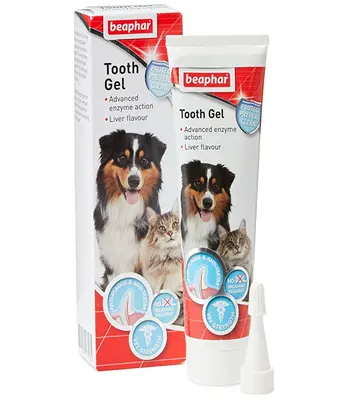 Beaphar Tooth Gel - Dogs and Cats