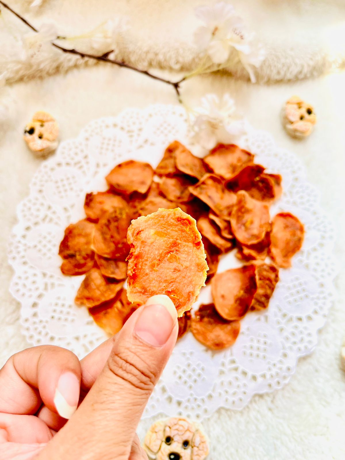 Chicken carrot chips (For Dogs & Cats)
