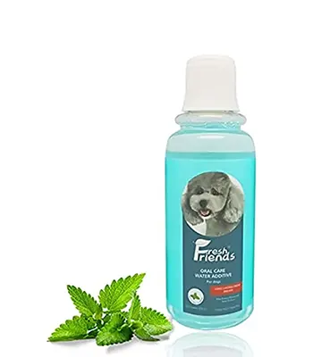 Fresh Friends Cat Drinking Water Additive,330 ml - Kitten and Adult Cat