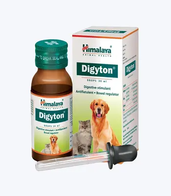 Himalaya Digyton Drops,30 ml - Dogs and Cats