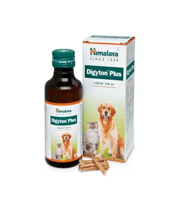 Himalaya Digyton Plus Syrup,100 ml - Dogs and Cats
