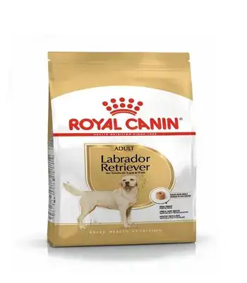 Buy Royal Canin Labrador Adult - Dog Dry Food | Pawrulz