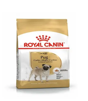 Royal Canin Pug Adult - Dog Dry Food