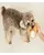 FOFOS Puppy Plush Toys (Mix) - Dog Plush Toy