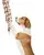FOFOS Flossy Rope Toy Braided - Dog Toy