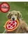 Jazz My Home Pizza Frisbee Dog Toy - Dogs Puppies
