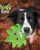Jazz My Home Leafy Tales Plush Dog Toy - Dogs Puppies