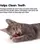 Petstages Catnip Plaque Away Pretzel Cat Chew Toy - Orange
