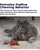 Petstages Catnip Plaque Away Pretzel Cat Chew Toy - Orange