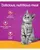 Whiskas Adult Cats (1+Years)Salmon in Gravy Flavour,Wet CatFood, 85g