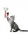 FOFOS Blocky Meow Butterfly Wand Cat Toy - Catnip Cat Toy