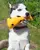 Beco George The Giraffe - Puppies and Adult Dog Toy
