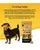 Dogsee Yalk Milk and Turmeric Large Long Lasting Dental Chews Bars For Large - Puppies and Adult Dogs
