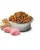 Farmina ND Ancestral Grain Chicken and Pomegranate 2.5 Kgs - Mini Puppy Dog Dry Food